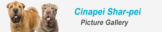 cianpei pictures